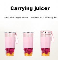 Carrying juicer series